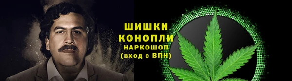 дживик Киренск
