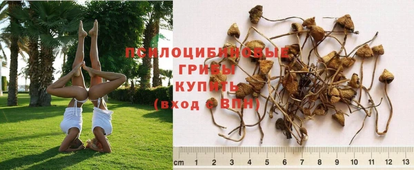 каннабис Кинешма