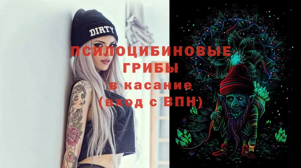 дживик Киренск
